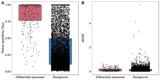 Boxplots showing the tissue-specificity and dN/dS values for genes that are differentially expressed in Malpighian tubules after perfume collection and background genes. Differentially expressed genes are more tissue specific (ANOVA, F(1,9949) = 798.3, p = <2e-16) (A) but do not differ in dN/dS values compared with the background (ANOVA, F(1,5884) = 0.314, p = .576) (B).