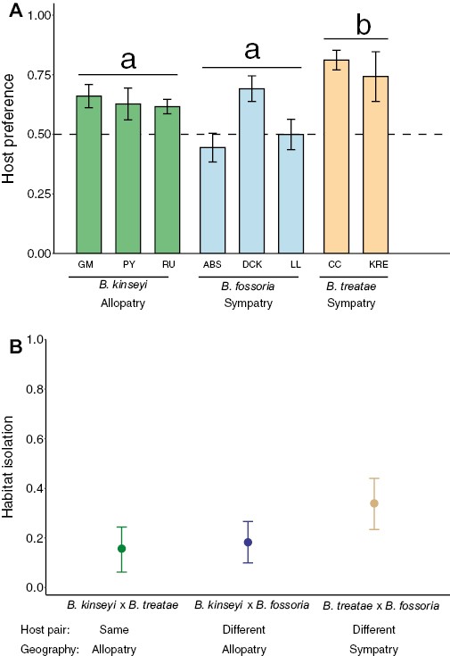 (A) Host preference (mean ± SE) defined as the percent of time females spent on their native host plant when given the choice of native and novel host plants evaluated for populations of B. kinseyi, B. fossoria, and B. treatae (see Figure 1 and Supplementary Table S2 for population identification details). The horizontal dashed line at 0.5 represents the null hypothesis of no preference for either host plant. Letters above bars indicate statistically significant differences among species (P < 0.05). (B) Strength of habitat isolation with 95% bootstrap confidential intervals for each of three comparisons between pairs of species, B. kinseyi × B. treatae, B. kinseyi × B. fossoria, and B. treatae × B. fossoria.