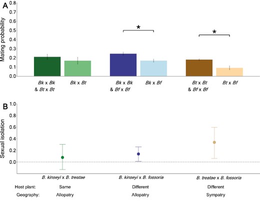 (A) Barplot of the probability of mating among wasp species in the genus Belonocnema that use the same and different host plants, as determined from the sexual isolation experiments. The bar values are the least squared means of mating probability within each group with standard error evaluated from GLMMs. The dots represent the means of mating probability for each population pair. Bk, Bt, and Bf each identify wasp species, B. kinseyi, B. treatae, and B. fossorial, respectively. (B) Strength of sexual isolation with 95% bootstrap confidential intervals for each of three comparisons between pairs of species, B. kinseyi × B. treatae, B. kinseyi × B. fossoria, and B. treatae × B. fossoria.