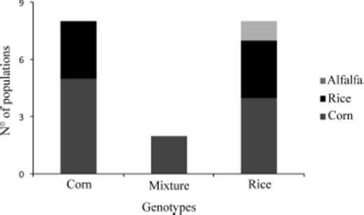 Genotypes of S. frugiperda populations collected from different hosts. Corn genotype includes five populations collected from corn (gray bar) and three populations collected from rice (black bar). Mixture of genotypes includes two populations collected from corn (gray bar). Rice genotype includes two populations collected from rice and one population collected from grass (black bar), three populations collected from corn and one population collected from sorghum (gray bar), and one population collected from alfalfa (light gray bar).