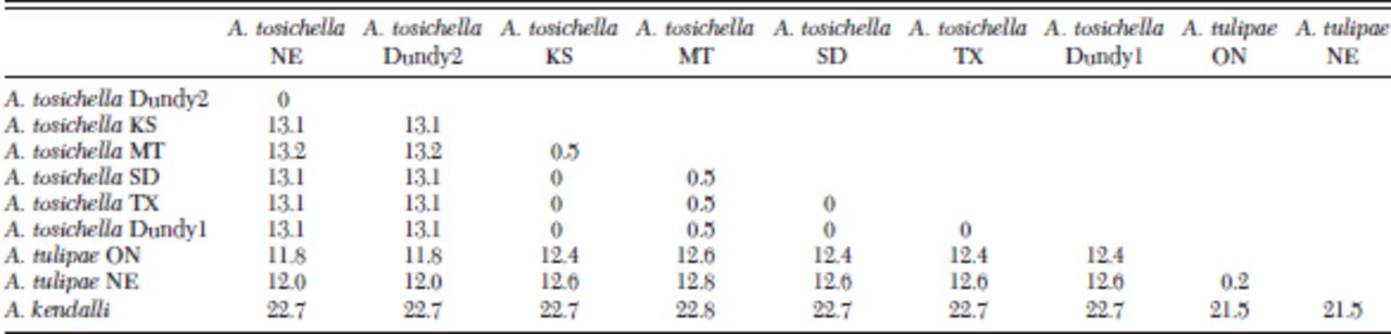 band 6 essay samples speeches