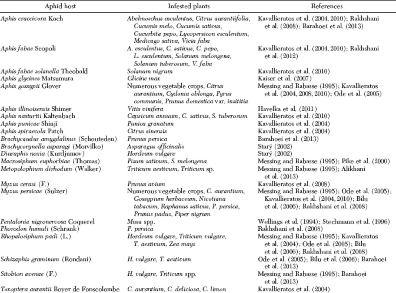 literature reviews research article quantitative
