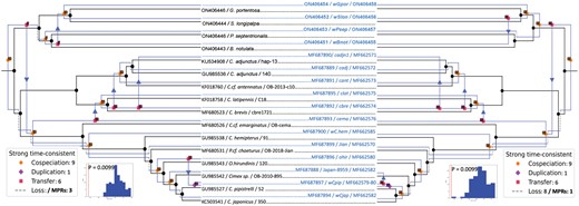 Least-cost evolutionary reconstruction between F clade Wolbachia (blue) and their arthropod hosts (black) based on the concatenated biotin C and H genes (right figure) and the hcpA gene (left tree) with the coxA host tree at each time. The best maximum parsimony reconciliation (MPR) was selected for the biotin tree while a unique MPR presentation was found for the hcpA tree. A total of 9 co-speciation, 1 duplication, 6 transfer, and 8 loss events were mapped out for both reconciliation trees using preselected cost-event spaces of 4.63, 5.89, and 1 selected for duplication, transfer, and loss, respectively.