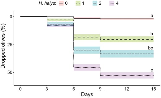 Olive drop occurring in the sleeves containing 0, 1, 2, or 4 Halyomorpha halys adults (7 replicates per treatment) in early fruit development (pre-hardening of the stone). Different letters indicate statistical difference between treatments (P = 0.05).