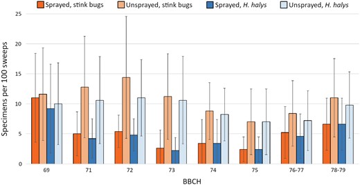 Number of stink bugs and Halyomorpha halys individuals found over time in plots sprayed and unsprayed with insecticides (mean of 5 olive groves). Insecticide applications were performed right after the first (BBCH69) and the third (BBCH72) sampling.