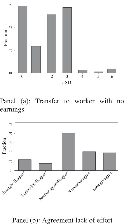 Choice experiment. Panel (a) shows the distribution of transfers (in USD) to the worker falling behind, pooled for all treatments. Panel (b) shows the extent of agreement with the worker falling behind having exerted less effort than the worker ahead, pooled for all treatments. The two panel are based on independent samples.