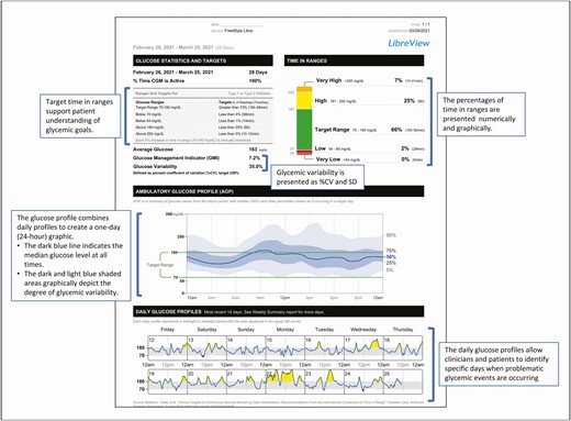 FreeStyle LibreView Summary Report.