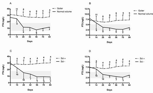 Changes in free thyroxine (FT4) and free 3,5,3′-triiodothyronine (FT3) concentrations according to A and B, thyroid volume, and C and D, uptake of technetium in patients with thyrotoxicosis induced by PD-1 or PD-L1 blockade. Time 0 indicates the onset of thyrotoxicosis. Patients were excluded when they started thyroid treatment (methimazole or levothyroxine). The number of patients at each time point in both groups is reported. Gray areas indicate normal values of FT4 and FT3. *P less than .05 between the 2 groups.
