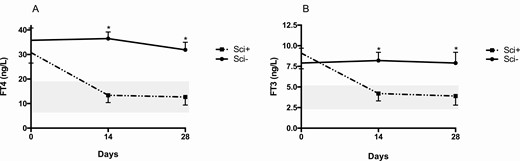 Changes in A, free thyroxine (FT4) and B, free 3,5,3′-triiodothyronine (FT3) concentrations after the start of methimazole therapy in 5 patients with normal/increased uptake of technetium (Sci+) and in 6 with absent uptake (Sci–). Gray areas indicate normal values of FT4 and FT3.*P less than .05 between the 2 groups.