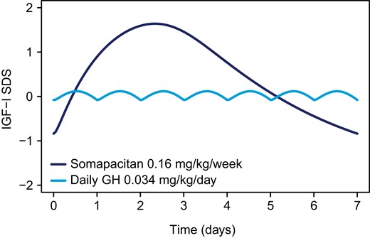 Weekly IGF-I response course for once-weekly somapacitan and daily GH at steady state in children with GHD. Estimated weekly IGF-I SDS profiles at steady state based on individual predictions of 146 subjects treated with 0.16 mg/kg somapacitan and 82 subjects treated with 0.034 mg/kg daily GH at week 52 in REAL 3 and REAL 4. Abbreviations: GH, growth hormone; GHD, growth hormone deficiency; IGF-I, insulin-like growth factor I; SDS, standard deviation score.