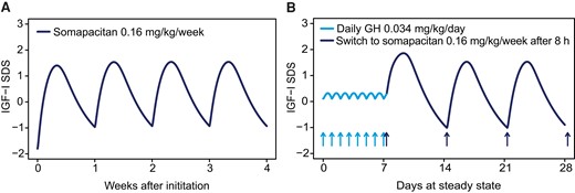 Steady-state weekly IGF-I SDS profile after initiation of somapacitan treatment in treatment-naïve patients and patients switching from daily GH. (A) After administration of somapacitan (0.16 mg/kg/week) in treatment naïve patients, steady-state IGF-I SDS is reached within 1-2 doses. (B) The typical IGF-I SDS profile when switching from daily GH to once-weekly somapacitan 8 hours after the last dose of daily GH (0.034 mg/kg). The maximum IGF-I SDS for the first somapacitan dose after the switch is predicted to be 0.33 SDS higher than for the somapacitan steady-state profile. Steady state is expected to occur after the second somapacitan dose. Abbreviations: GH, growth hormone; h, hour(s); IGF-I, insulin-like growth factor I; SDS, standard deviation score.