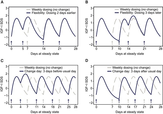 IGF-I response simulated for somapacitan flexible dosing and change of dosing day. (A) Flexibility to dose up with somapacitan to 2 days before the regular dosing day, then continue weekly dosing on the regular dosing day. The maximum and minimum IGF-I SDS observed after dosing were predicted to be 0.19 SDS higher and 0.45 SDS lower, respectively, compared to the regular steady state profile. (B) Flexibility to dose up with somapacitan to 3 days after the regular dosing day, then continue weekly dosing on the regular dosing day. The maximum and minimum IGF-I SDS observed after somapacitan dosing were predicted to be 0.34 SDS higher and 0.61 SDS lower, respectively, compared to the regular steady state profile. (C) Change of the regular dosing day of somapacitan by dosing up to 3 days earlier (ie, 4 days after the previous dose). The maximum IGF-I SDS observed after somapacitan dosing was predicted to be 0.35 SDS higher compared to the regular steady state profile, while no effect on trough IGF-I SDS were predicted. (D) Change of regular dosing day of somapacitan by dosing up to 3 days later. The minimum IGF-I SDS observed was predicted to be 0.61 SDS lower than the regular steady state profile, while no effect on maximum IGF-I SDS were predicted. Overall, the impact of the above changes to the regular dosing schedule of somapacitan on IGF-I profiles is considered minor, and steady state occurs 1 or 2 doses after regular weekly somapacitan treatment is resumed. A, B, C, and D: Solid lines are means of individual predictions. Dotted lines represent the regular dosing interval with no change of dosing day. Abbreviations: IGF-I, insulin-like growth factor I; SDS, standard deviation score.