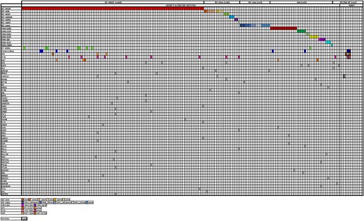 Alteration profile of the 192 sporadic MTC (sMTC) patients who underwent next-generation sequencing (NGS). Each column corresponds to a single case. Genetic alterations are listed on the left. The nonbolded colored squares correspond to the specific somatic alteration, while the bolded colored squares correspond germline mutations.