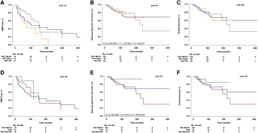 Kaplan-Meier curves of A, time to the development of distant metastasis (DMD), B, disease-specific survival, and C, overall survival among patients with somatic RET M918T, RET-Other, and RET WT status, and D, time to DMD, E, disease-specific survival, and F, overall survival among patients with somatic RET M918T, RAS, and RET/RAS WT status.
