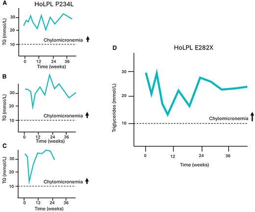 Exposure to evinacumab of 3 patients with proven LPL deficiency carrying known FCS-causing variants in the LPL gene and not responding to ANGPTL3 inhibition identified a new potentially pathogenic variant. In patients homozygotes for the P234L pathogenic variant (exon 5) completely lacking LPL activity due to defect at the catalytic site of the LPL protein, TG levels remain elevated and do not decrease below 10 mmol/L following evinacumab treatment (A, B, C). One homozygote carrier of the E282X variant did not respond either, and TG levels remained above 10 mmol/L (D). This variant is thus likely pathogenic and FCS-causing. It is located in exon 6 and surrounded by other documented variants associated with chylomicronemia. This region of the LPL gene codes for the enzyme catalytic site and affects lipoprotein binding.
