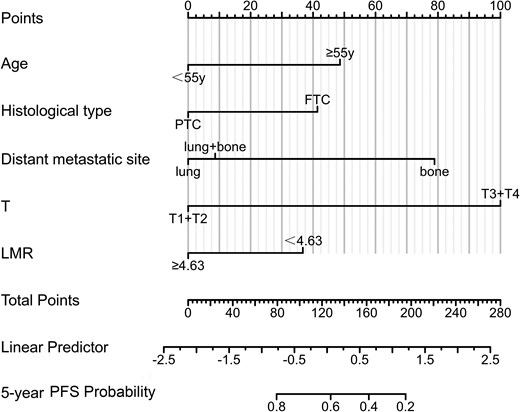 A nomogram predicting the risk of progression in distant metastasis differentiated thyroid cancer patients.
