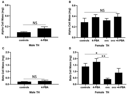Alpha and beta cell mass in 20-week-old (A, C) male and age-matched (B, D) female sham-operated, ovariectomized (ovx) TH mice either treated or not with the chemical chaperone 4-PBA. n = 5 per group. *P < .05, **P < .01. Bars represent standard error of the mean (SEM).