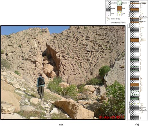 (a) Vugs on the top of Sarvak, Kabir-Kuh anticline, Lorestan province, Iran. (b) Lithostratigraphy of the Sarvak Formation and its neighbours, well#3, the Abadan Plain, Iran.