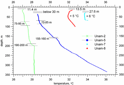 Temperature logs of boreholes UNAM 2, 5, 7 and 8 measured in May 2003. The logs UNAM 7 and 8 are shifted by +6 °C and +5 °C, respectively. The horizontal lines with hatching and depth labels indicate the groundwater levels in the individual boreholes. The horizontal lines with depth labels mark zones of increased gradient correlated with the fresh/saline groundwater interface in the UNAM 2 and 5 logs.
