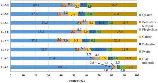 Mineral composition analysis for samples from Jiaoye 11–4 and Jiaoye 41–5.