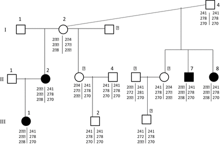 Mendelian inheritance of alpaca KIT alleles within a family segregating the BEW phenotype. Individuals shaded black have the BEW phenotype, whereas unshaded individuals are animals with white fleece and pigmented irides. For each individual, the genotypes are given at markers 49774, KIT10, and KIT3 in this order.