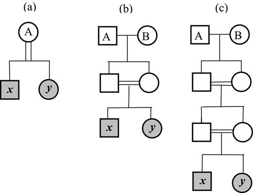 Pedigrees for the 3 hypothetical examples with inbred individuals discussed in the text and Table 2 (a) 2 sibs from self-fertilization of a parental individual A (indicated by the 2 parallel vertical lines), (b) sibs whose parents are sibs, and (c) sibs whose parents and grandparents are sibs. For (b) and (c) the 2 ancestors are A and B and these are full sibs from 1 and 2 generations of full-sib mating, respectively.