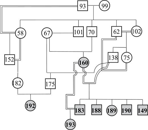 The pedigree of Isle Royale wolves giving the known ancestors of the 8 wolves genetically identified (shaded) on the island in 2012. All of the wolves are descended from M93 who migrated to the island in 1997 and 2 females, F99 his first mate, and F67, another unrelated resident female. Here squares represent males, circles represent females, and double lines indicate first-degree matings, either between a parent and an offspring or between 2 full sibs.