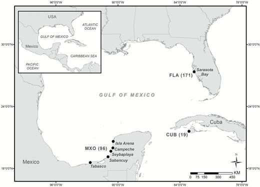 Map of Aetobatus narinari sampling localities with sample size noted in parentheses. Sarasota Bay, Florida (FLA), Mexico (MXO), and Cuba (CUB).