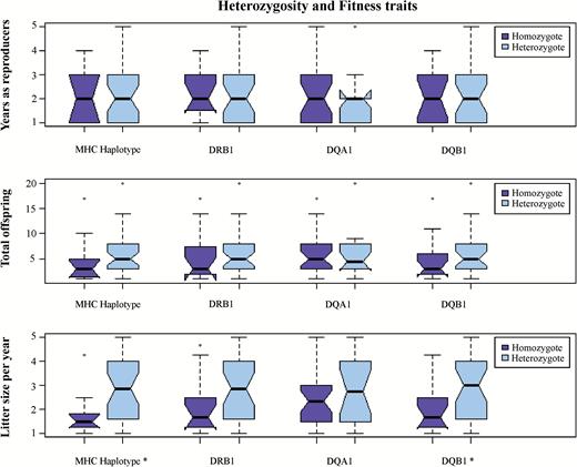 Comparison of the average values of fitness between homozygote and heterozygote breeding wolves at MHC haplotypes, DRB1, DQA1, and DQB1 loci. Outlier values are indicated as dots outside the boxes. Notches that do not overlap represent a 95% probability for the median values to be different. Significant differences are indicated with an asterisk next to the label.