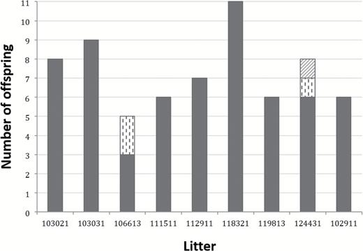 Paternal contributions to litters are indicated on the x axis and total number of offspring per litter on the y axis. Column color/pattern depicts the number of sires per litter and how many offspring each father sired.