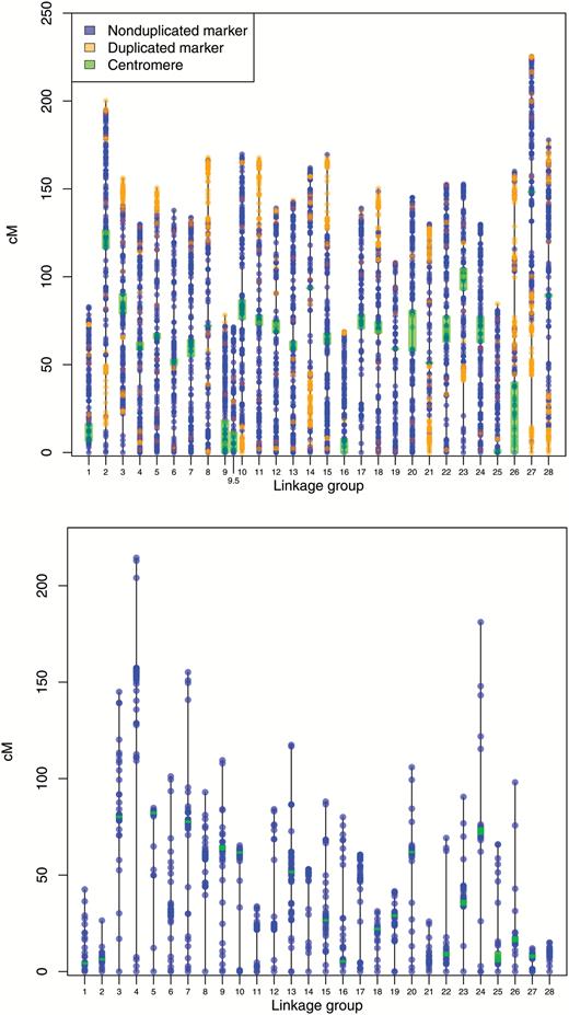 (a) Female and (b) male linkage maps for sockeye salmon containing 6322 and 2179 loci, respectively. Each dot represents a locus, and darker shading indicate higher marker density. Centromeres were successfully placed on all LGs in the female map and 19 of 28 LGs in the male map. LGs So9 and So9.5 are the sex chromosomes in sockeye salmon and are represented by 2 acrocentric LGs in the female map and a single metacentric LG in the male map (see text for additional information). Colors are viewable in the online version of the article.