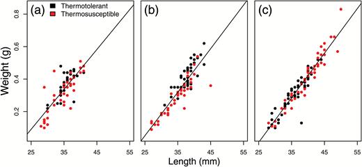Visualization of weight versus length relationships for each individual in family (a) D3, (b) D4, and (c) D5. Each dot represents an individual; dots are colored according to thermotolerance. A line of best fit is drawn through each distribution. Colors are viewable in the online version of the article.