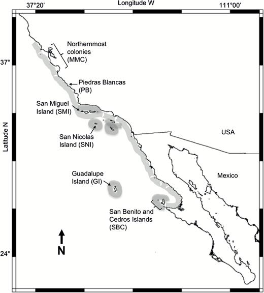 Northern elephant seal distribution of breeding areas (shaded) and sampling sites: SBC (n = 112); Guadalupe Island (n = 173); SNI (n = 82); SMI (n = 105); PB (n = 96) and the northernmost colonies which correspond to Año Nuevo, the Farallon Islands and Point Reyes (n = 269). MMC = Marine Mammal Center.