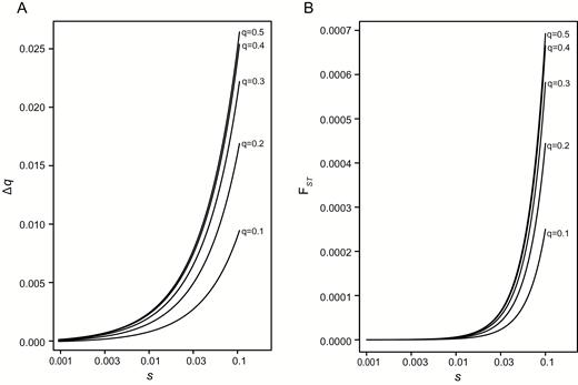 The change in the male-beneficial allele frequency with additive beneficial and conflict allele effects (h1 = h2 = 0.5) after a single generation of sexually antagonistic selection, where the cost of selection is equal between the sexes (sm = sf = s). (A) The difference between male and female allele frequencies (∆q) as a function of selection for different initial values of q. (B) Male-female FST as a function of selection for different values of q. For both response measures, the change in allele frequency increases as the cost of selection increases. The maximum change in allele frequency is seen when the male- and female-beneficial alleles start at the same frequency (q = 0.5).