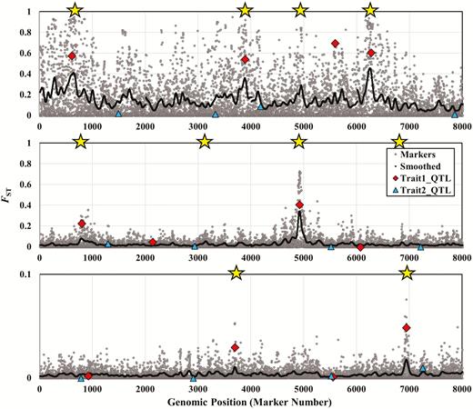 Manhattan plots for 3 typical simulation runs, under 3 different migration rates, in the absence of pleiotropy or epistasis. These simulations were run using the same parameter values as those used to generate the data in Table 2. Here, we use migration rates of m = 0.002 (top panel), m = 0.016 (middle panel), and m = 0.128 (bottom panel). The x axis shows genomic position, measured by the positions of marker loci. We simulated 2000 evenly spaced marker loci per linkage group and 4 linkage groups for a total of 8000 loci. Gray dots show the FST values for all marker loci, and the dark line shows smoothed FST values. We modeled one QTL for each trait per linkage group. FST values for QTL affecting trait 1 (with locally divergent optima) are shown as red diamonds, whereas FST values for QTL affecting trait 2 (with identical optima in both populations) are shown as blue triangles. Yellow stars at the top of each panel indicate smoothed FST peaks that were flagged as outliers by the 99% confidence interval method. All values shown here are from the final experimental generation of the simulation run (i.e., generation 2000).