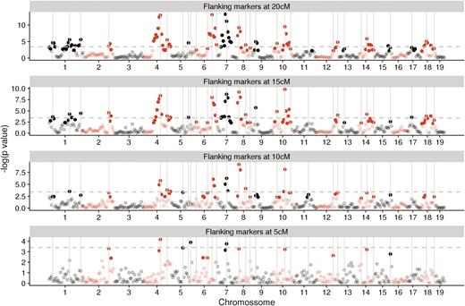 Identified makers using interval mapping with various flanking marker distances. Chosen markers are shown as gray vertical lines. Significant markers at the chromosome levels are shown in full color, nonsignificant markers at the chromosome level are translucent, the dashed line marks the whole genome significance threshold. Chromosomes are shown in alternating colors.
