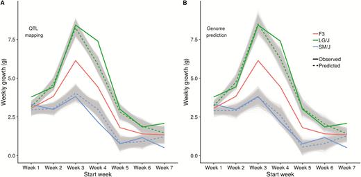 Ancestral predictions from additive effects. Predictions of the ancestral growth curves using additive effects estimated in the F3 generation. Solid lines are the observed growth curves, dashed lines the predicted growth curves from the 2 models. (A) QTL mapping of significant markers, (B) Genome prediction using all markers. Gray lines represent the posterior distribution of ancestral predictions derived from the Bayesian effect estimates.