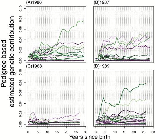 Individual, pedigree-based, estimated genetic contributions of males from some of the earliest cohorts. The 1986–1989 cohorts are plotted with each line representing a separate individual born that year, showing their pedigree-based genetic contributions estimated each year after their birth.
