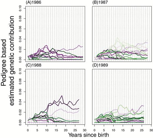 Individual, pedigree-based, estimated genetic contributions of females from some of the earliest cohorts. The 1986–1989 cohorts are plotted with each line representing a separate individual born that year, showing their pedigree-based genetic contributions estimated each year after their birth.
