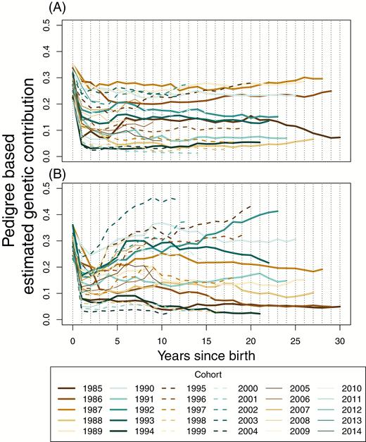 Total pedigree-based estimated genetic contributions for (A) male and (B) female cohorts. Each line represents a separate cohort from 1985 to 2014.