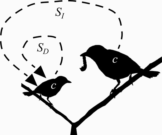 The simultaneous direct (SD) and indirect (S1) effects. The allele has a direct effect on viability of SD Males, with the allele increment the viability of their offspring by S1.