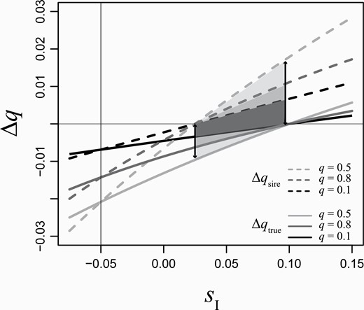 The change in allele frequency per generation (Δq) when offspring survival is considered a component of parental fitness (Δqsire, dashed lines) and when it is not (Δqtrue, solid lines) as a function of the indirect genetic effect (SI) for 3 different allele frequencies (q = 0.1, dark gray; q = 0.5, black; q = 0.8, light gray) when SD = −0.5. Note that Δqsire = Δqtrue when SD = SI (vertical line in this example). However, when the direct and indirect effects are not the same, Δqsire deviates from Δqtrue. The magnitude of this deviation represents an error in inference. The magnitude of the error increases as a function of the absolute difference between the 2 effects (compare each pair of solid vs. dashed lines increases as SI >> SD) and as a function of genetic variation (difference between dashed and solid line is larger when q = 0.5 than either when q = 0.1 or when q = 0.8). For some values of SI, not only is value of Δqsire incorrect, but also the sign (shaded regions).
