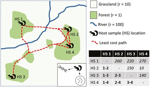 A hypothetical model combining landscape genetics and microbiome. Here, individuals of a forest-loving, terrestrial species are sampled for host genetics and gut microbiota. The landscape is described with a resistance model, reflecting the hypothesized relative cost of movement by the host. In this example, cells in grassland are assigned a resistance value 10 times higher than cells in forest, and rivers are assigned a cost of 100 to cross. The least-cost paths between sample locations are depicted, with examples of cumulative resistance costs arrayed above the diagonal (italics) and pairwise comparisons of individuals below the diagonal (bold). Those pairwise comparisons could be individual host genetic distances or relatedness, as when building and optimizing a landscape genetics model (i.e., testing what resistance values best predict genetic differences), or measures of difference in microbiome between individual hosts, as when testing whether beta diversity between host individuals reflects host movement as inferred from an optimized landscape genetic model. In this case, host samples (HS) 1 and 2 are closer geographically than HS 2 and HS 3, but due to the wide expanse of grassland and a river between HS 1 and HS 2, this model predicts that resistance distance and thus genetic distance are highest between these locations. Gut microbiome differentiation might likewise be predicted to be highest between those locations if host contacts are a primary driver of microbiome communities. A circuit theoretic analysis that integrates all possible paths and thus multiple dispersal pathways, rather than least-cost paths, could also be applied here.