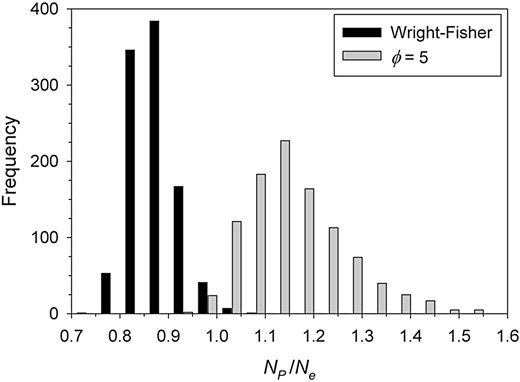 The ratio of the number of parents producing at least one offspring (NP) to Ne in simulated populations. Two scenarios were simulated, both with N = 100 potential parents producing an average of 2 offspring each: 1) Wright–Fisher reproduction, in which (on average) Ne = N and 2) more realistic demography, in which the ratio of variance to mean number of offspring was ϕ=σk2/uk=5, leading to expected Ne/N = 0.33. In both scenarios, results shown include data from 1000 replicate generations of reproduction. Median values of the ratio NP/Ne were 0.86 for Scenario 1 and 1.14 for Scenario 2. The simulations used methods described in more detail in Supplementary Material.