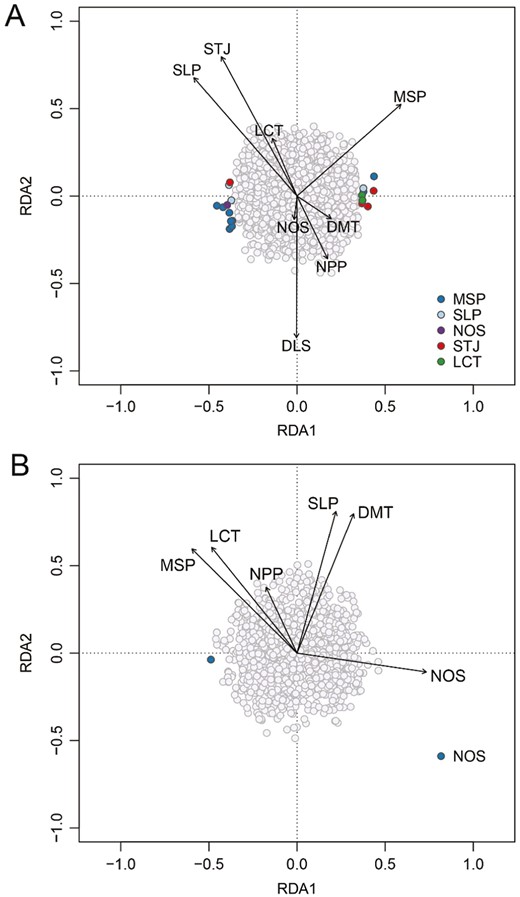 SNP-based variation associated with environmental covariates from RDA analysis for (A) Sweltsa coloradensis and (B) Sweltsa fidelis. NPP, net primary productivity, MSP, mean summer precipitation; LCT, land cover type; SLP, slope; DMT, mean days to minimum temperature; NOS, northness; STJ, mean June stream temperature; DLS, days to last snow cover. Arrows show the strength of the relationship between each environmental variable and the constrained axes.