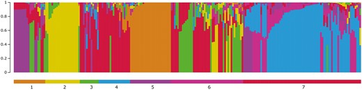 Model-based population structure for K = 7, sorted by flock. Only flocks with 10 or more genotyped animals were included in the analysis.