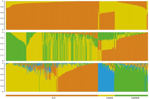 Model-based population structure for K = 2 to K = 4 for US, Australian, and Irish Suffolk sheep.