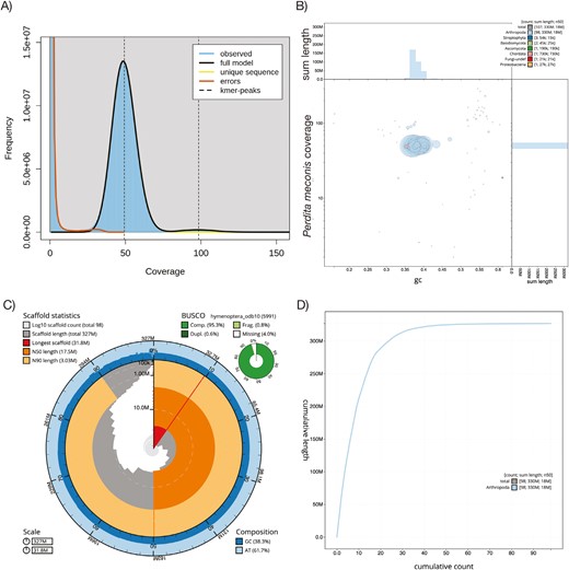 Genome assembly and quality metrics for the Mojave poppy bee genome. A) GenomeScope2 plot of k-mer frequency at varying depth of coverage for the initial assembly B) Blob plot for Mojave poppy bee initial genome assembly. Each blob represents a contig, colored according to the phylum with the best match using BLAST hits to the NCBI nucleotide database or Diamond BLAST hits to the Uniprot protein database. Most blobs are assigned to Arthropoda, with only a few assigned to fungi, plants, or Chordata. C) BlobToolKit snail plot of the final draft genome assembly after removal of non-arthropod contigs. The main plot is divided into 1,000 size-ordered bins around the circumference with each bin representing 0.1% of the 327,936,261 bp assembly. The distribution of sequence lengths is shown in dark gray with the plot radius scaled to the longest sequence present in the assembly (31,838,323 bp, shown in red). Orange and pale-orange arcs show the N50 and N90 sequence lengths (17,524,680 and 3,032,719 bp), respectively. The pale gray spiral shows the cumulative sequence count on a log scale with white scale lines showing successive orders of magnitude. The blue and pale-blue area around the outside of the plot shows the distribution of GC, AT, and N percentages in the same bins as the inner plot. A summary of complete, fragmented, duplicated, and missing BUSCO genes in the hymenoptera_odb10 set is shown in the top right. D) Plot of cumulative sequence length covered by contigs. The gray line shows cumulative length for all contigs, while the blue line shows cumulative length for Arthropoda contigs. In the final draft genome assembly with non-arthropod contigs removed, the blue and gray lines overlap.