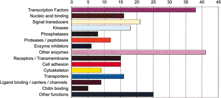 Repartition of ey-induced genes in third instar larval leg discs in which an eye morphogenetic field is induced (Michaut et al. 2003).