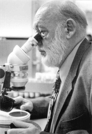 (Photograph by Ch. Scholz.)